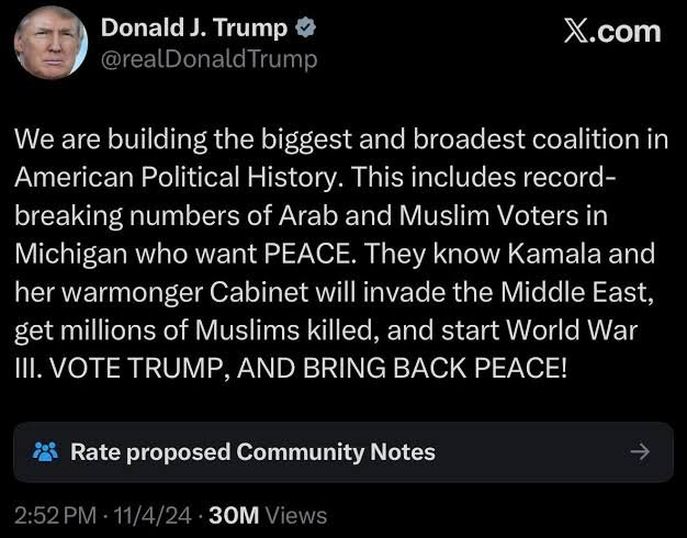 17730477980164137167856417169917.jpg