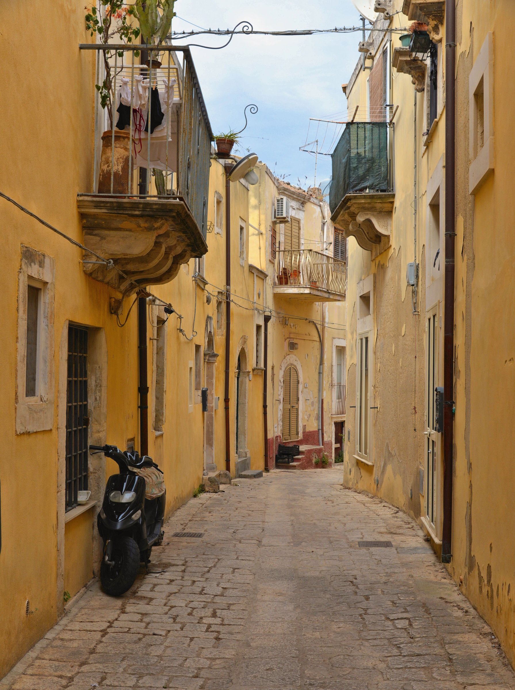 large.DSC_9911v.jpg