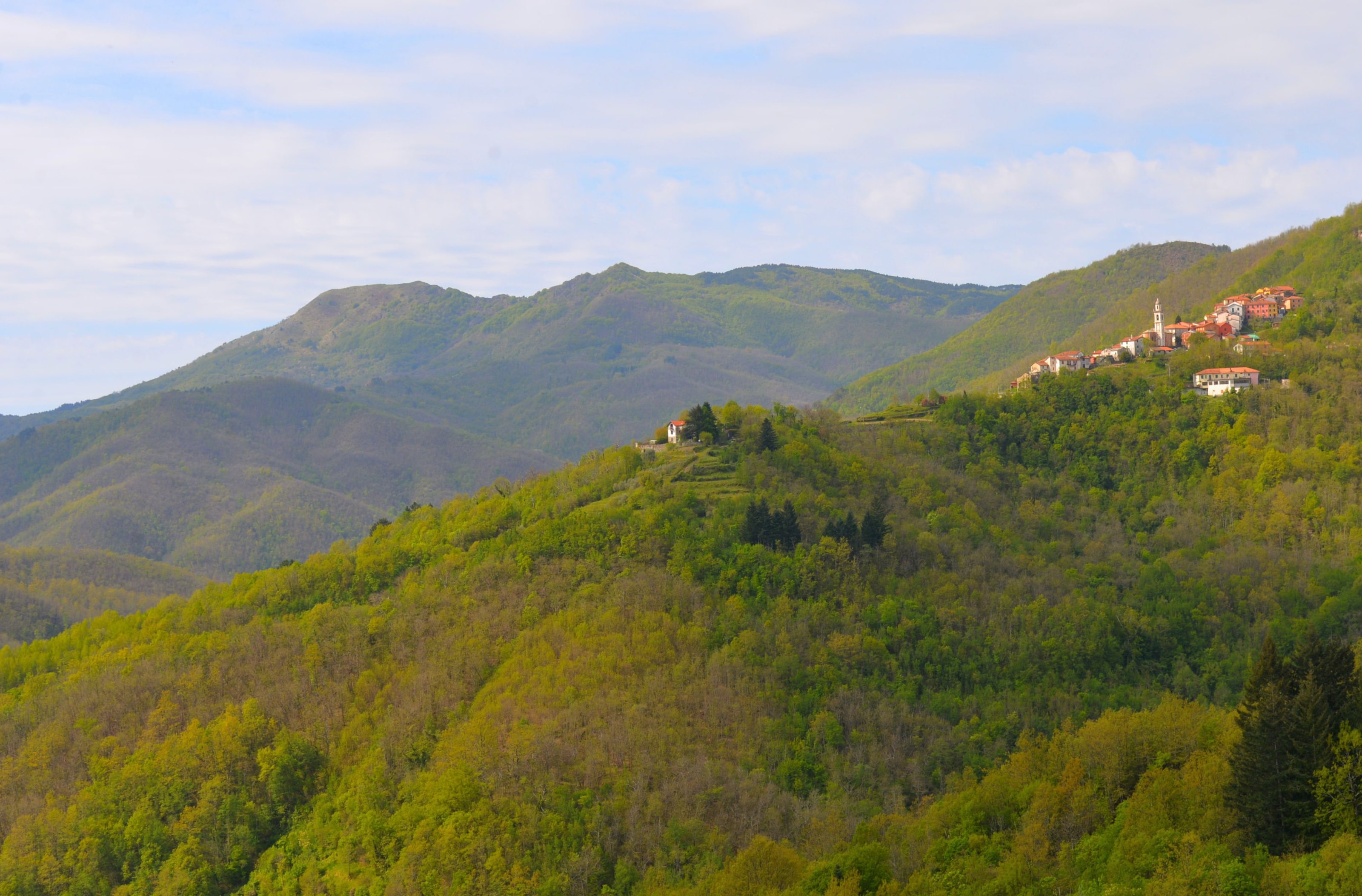 large.DSC_4216v.jpg