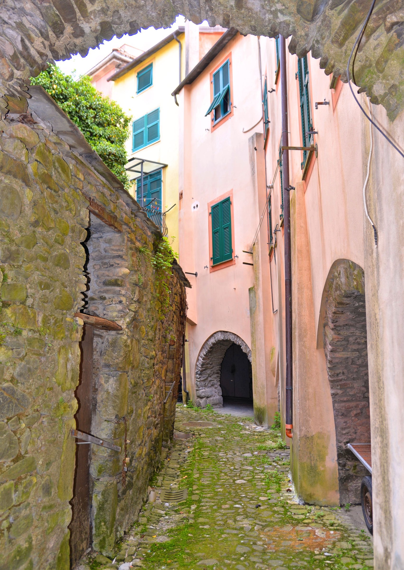 large.DSC_4271v.jpg