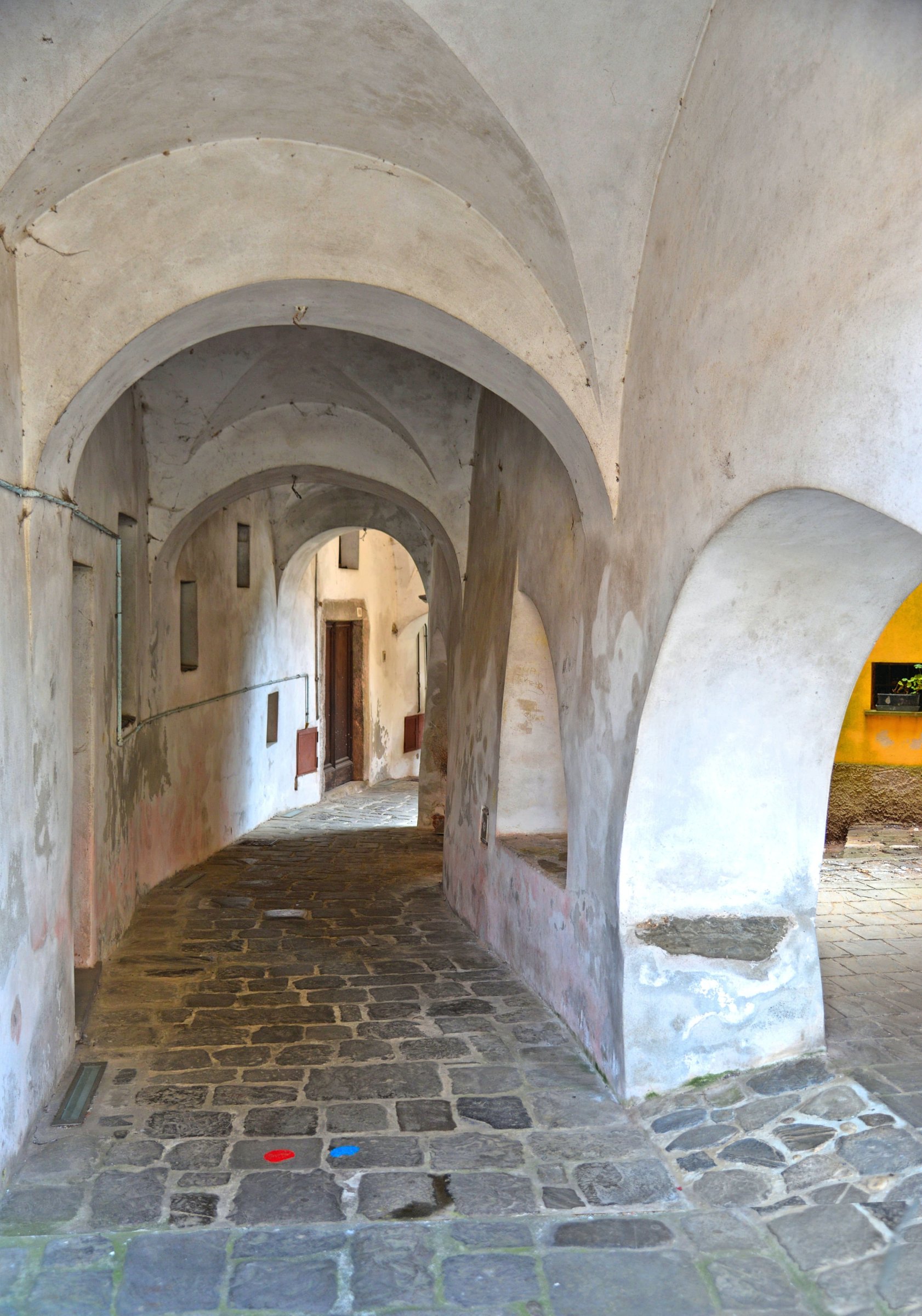large.DSC_4275v.jpg