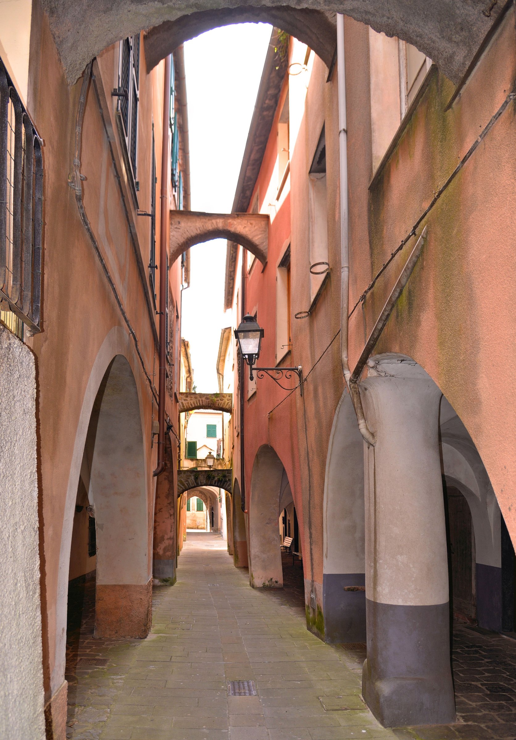 large.DSC_4277v.jpg
