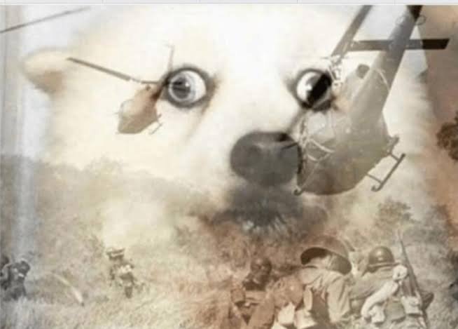 images (11).jpeg
