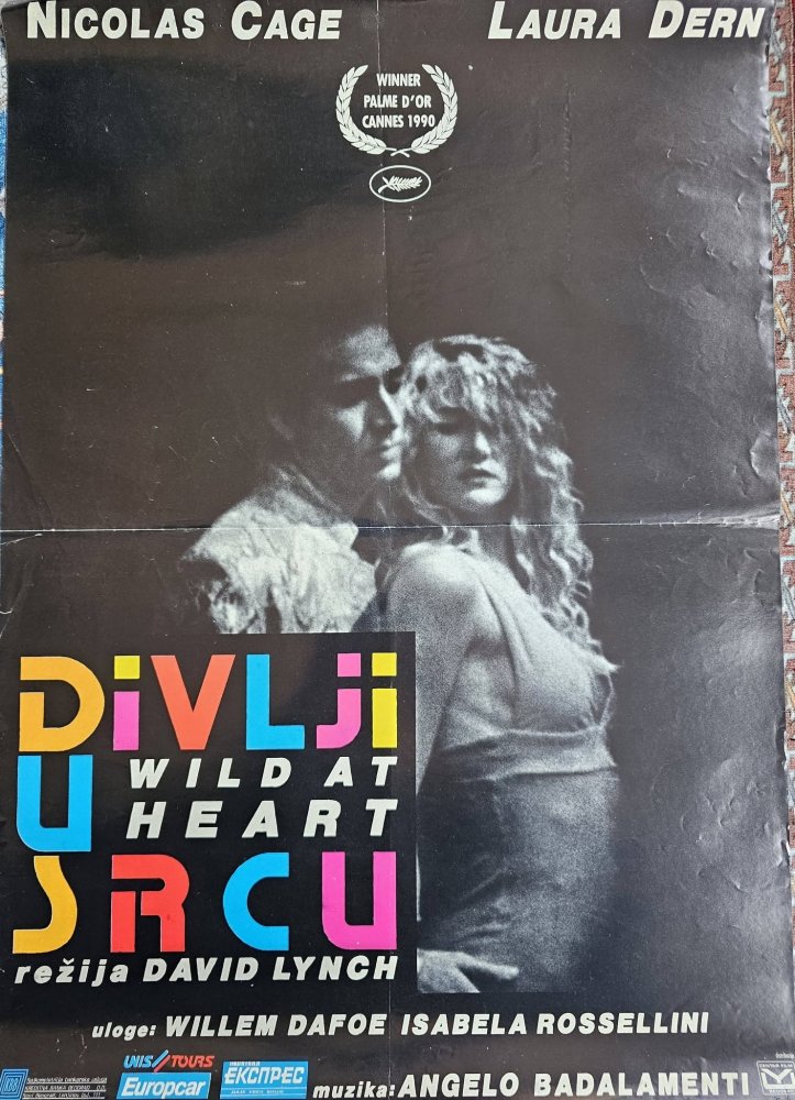 Divlji u srcu.jpg