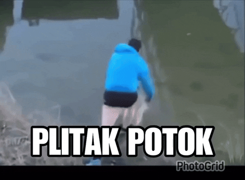 image.gif