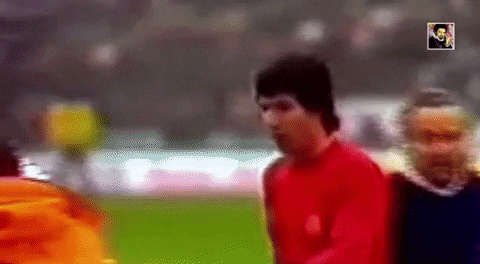 image.gif