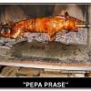 pepa prase